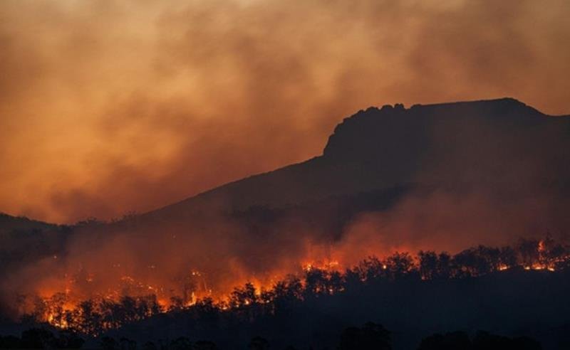 Um terço das escolas não têm ações de educação ambiental; curso orienta professores na volta às aulas